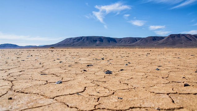 Illustration for article titled Chocolate Lovers, Despair! These Arid Wastelands Have Nary A Hint Of Cocoa As Far As The Eye Can See